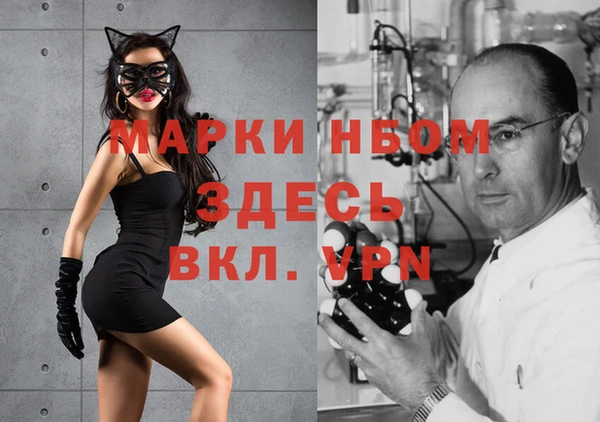 винт Лабытнанги